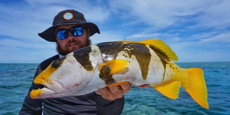 Episode 320: Hinchinbrook Coral Trout With Jimmy Falkenberg