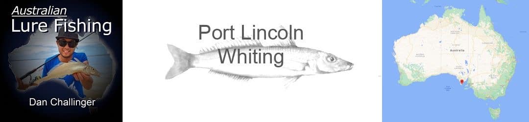 Port Lincoln Whiting With Dan Challinger