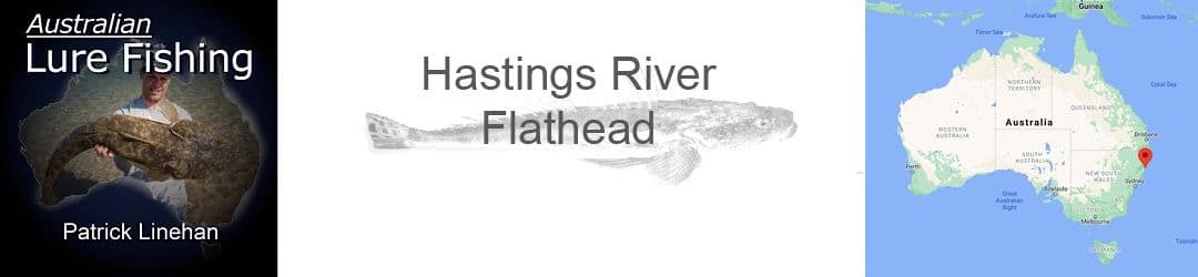 Hastings River Flathead Fishing Patrick Linehan