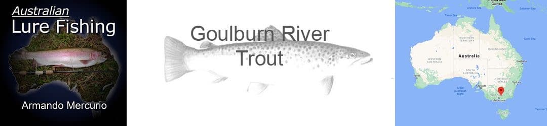 Goulburn River Trout Armando Mercurio