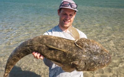 Episode 333: Hastings River Flathead With Patrick Linehan
