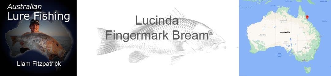 Lucinda Fingermark Bream With Liam Fitzpatrick