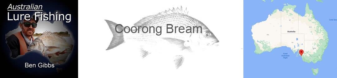 Coorong bream fishing with Ben Gibbs