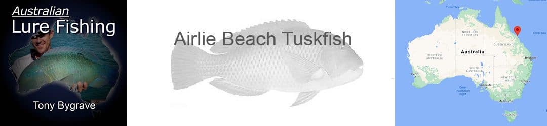 Airlie Beach Tuskfish with Tony Bygrave