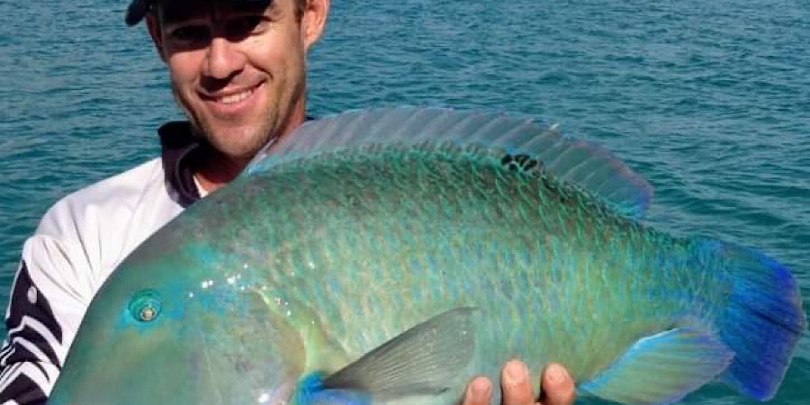 Episode 354: Airlie Beach Tuskfish With Tony Bygrave