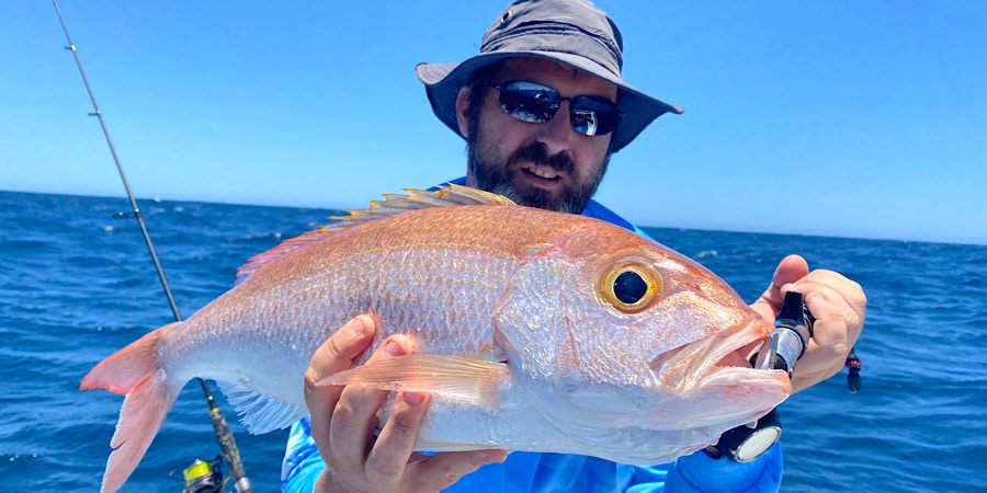 Episode 359: Exmouth Goldband Snapper With Steve Riley