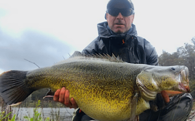 Episode 370: ACT Shore-Based Murray Cod With Andy McGovern