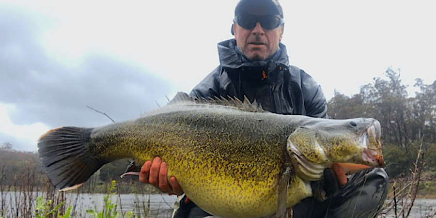 Episode 370: ACT Shore-Based Murray Cod With Andy McGovern
