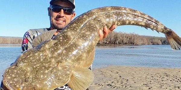 Episode 372: Lake Macquarie Flathead With Nathan Debono