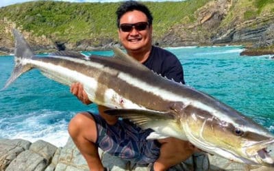 Episode 376: Quobba Land-Based Cobia With Goshie Gman