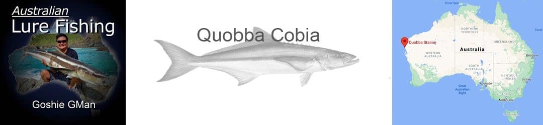 Quobba Land-based cobia with Goshie