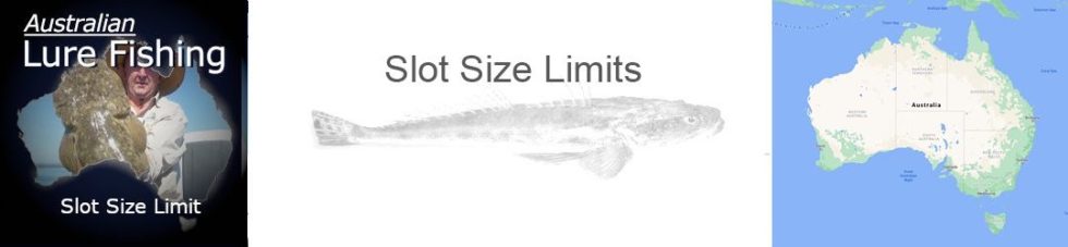 Slot Size Limit Flathead | Scott Lems Brad Ritson | Doc Lures