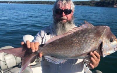 Episode 389: Moreton Bay Surface Snapper With Mike Connolly