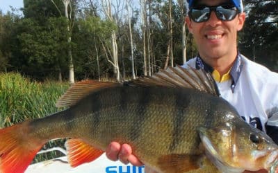 Episode 382: Lake Fyans Redfin With Angus James