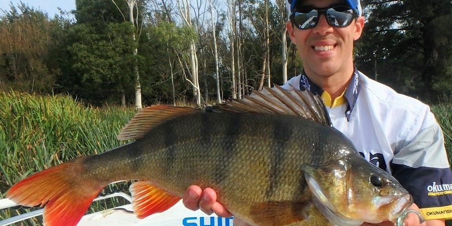 Episode 382: Lake Fyans Redfin With Angus James