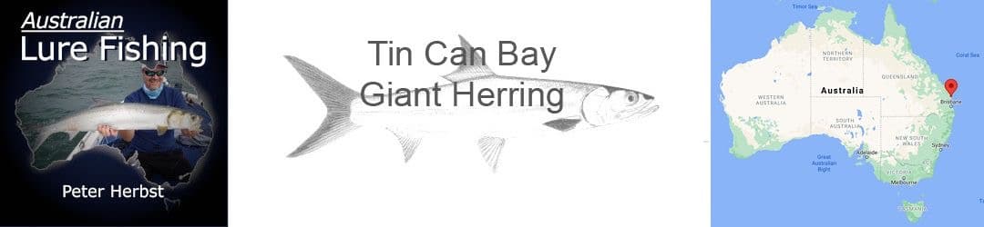 Tin Can Bay Giant Herring Fishing With Peter Herbst
