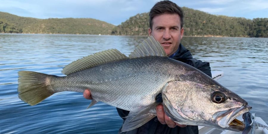 Mysterious Hawkesbury Tributary Jewfish With Aaron Papas