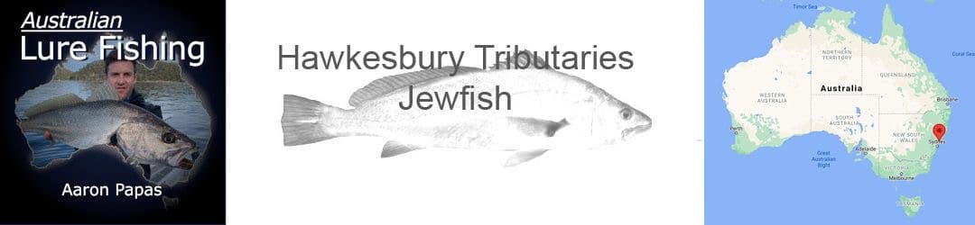 Aaron Papas Hawkesbury Tributary Jewfish
