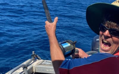 Episode 391: Jervis Bay Marlin With Malcolm Munro