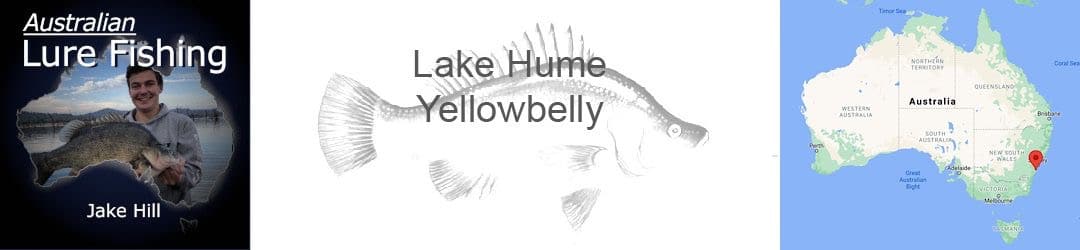 Lake Hume Yellowbelly Golden Perch Jake Hill