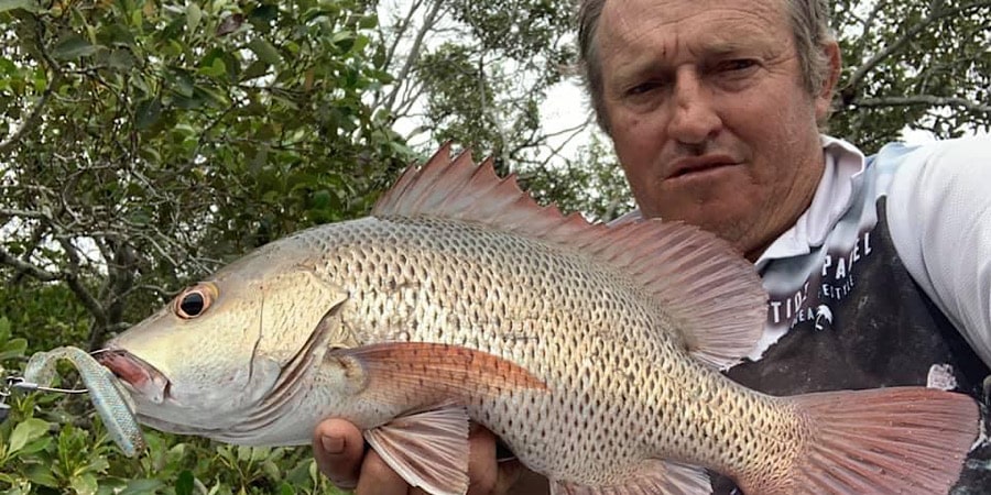 Episode 406: Bundaberg Mangrove Jack With Daniel Robson