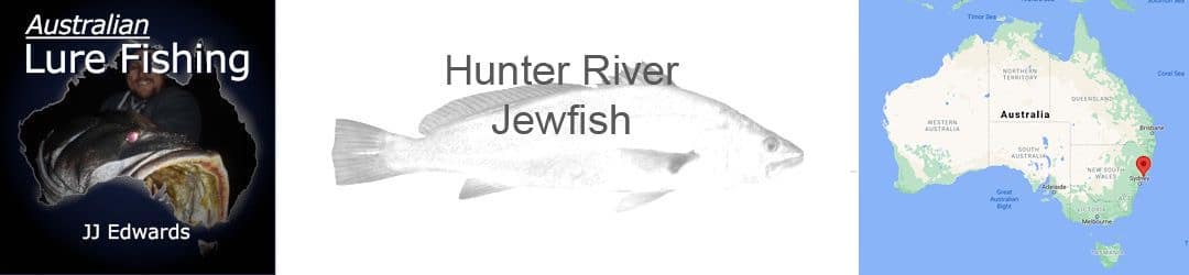 Hunter River Jewfish With JJ Edwards