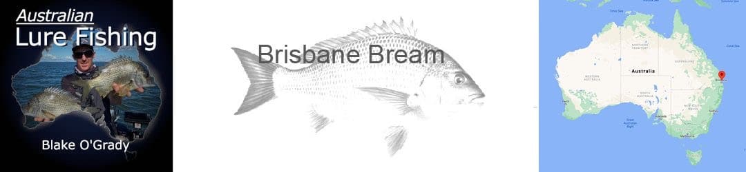 Brisbane Bream Fishing With Blake O'Grady