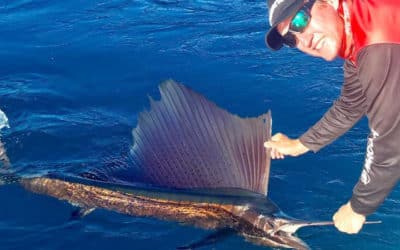 Episode 418: Groote Eylandt Sailfish With Bomber Farrell