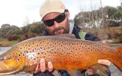 Episode 420: Snowy Mountains Trout With Brendan Spicer