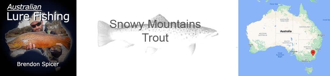 Snowy Mountains trout with Brendon Spicer