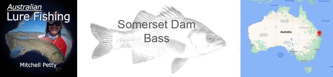 Somerset Dam Bass With Mitchell Petty