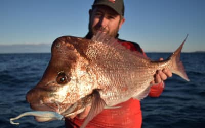 Episode 426: Fishing At South West Rocks – Snapper With Liam Williams