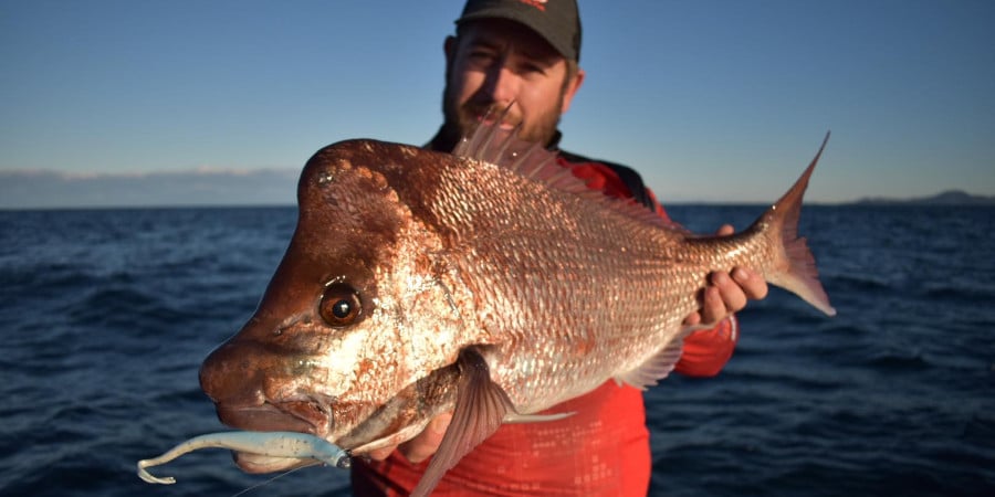 Episode 426: Fishing At South West Rocks – Snapper With Liam Williams