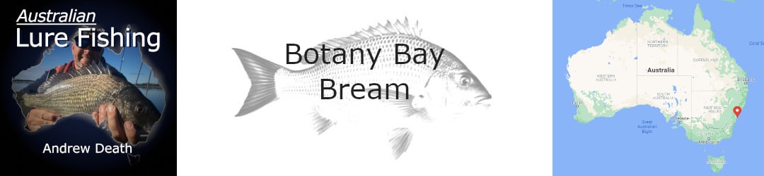 428-Botany Bay Bream Andrew Death