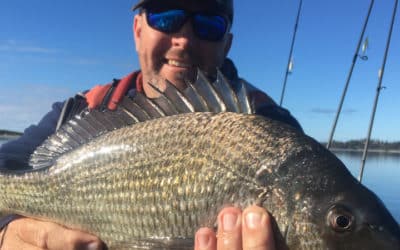 Episode 428: Botany Bay Bream With Andrew Death