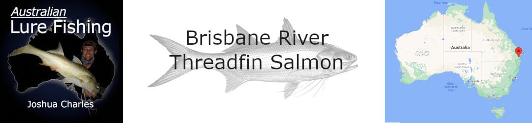 Brisbane River Threadfin Salmon With Joshua Charles
