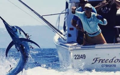 Episode 439: NSW Central Coast Inshore Marlin With Scott Thorrington