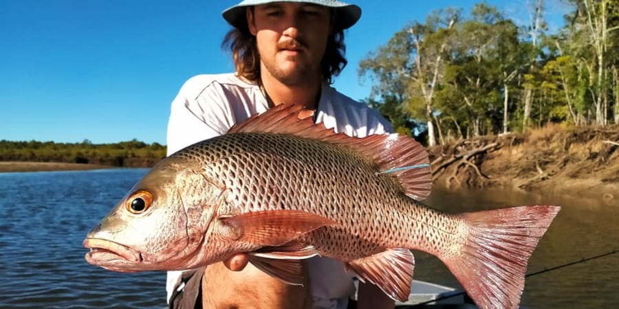 Episode 440: Gladstone Mangrove Jack With Bryce Rodgers
