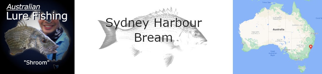 Sydney Harbour Bream With Shroom