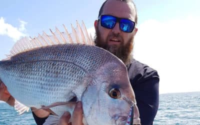 Episode 458: Moreton Bay Snapper With George Mole