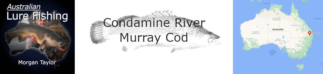 Condamine River Murray Cod With Morgan Taylor