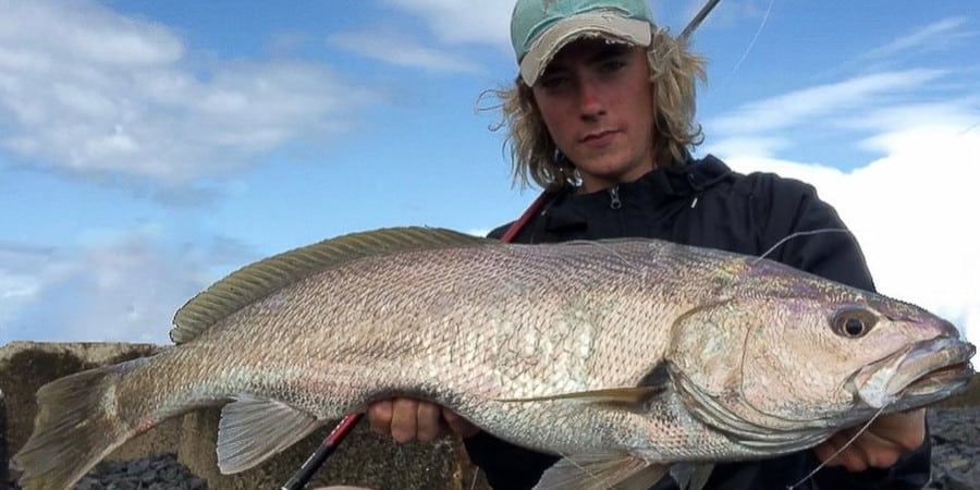 Episode 462: Northern NSW Land Based Jewfish With Cameron Harlen-Roberston