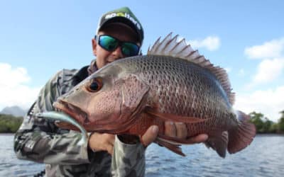 Episode 465: Townsville Flats Sight Fishing With Vinnie Versfeld