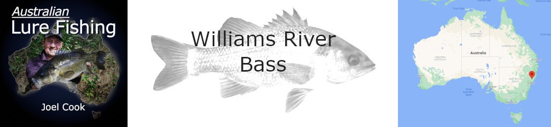 Williams River Bass Fishing With Joel Cook ALF