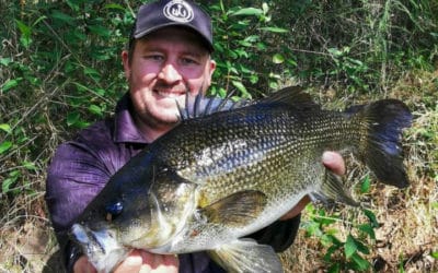Episode 472: Williams River Bass With Joel Cook