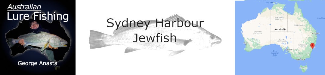 Sydney Jewfish with George Anasta
