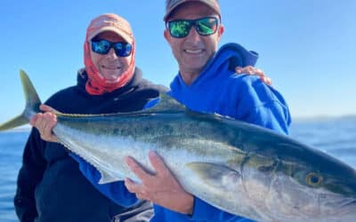 Episode 480: Melbourne Kingfish With Lee Rayner