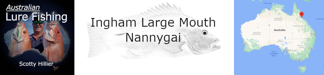 Ingham Large Mouth Nannygai Scotty Hillier