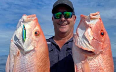 Episode 484: Ingham Large Mouth Nannygai With Scotty Hillier