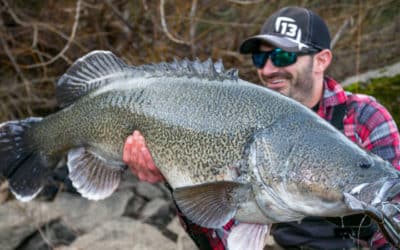 Episode 485: Canberra Murray Cod With Aaron Hill